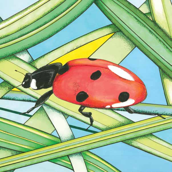 illustrations_Page_36_Image_0001