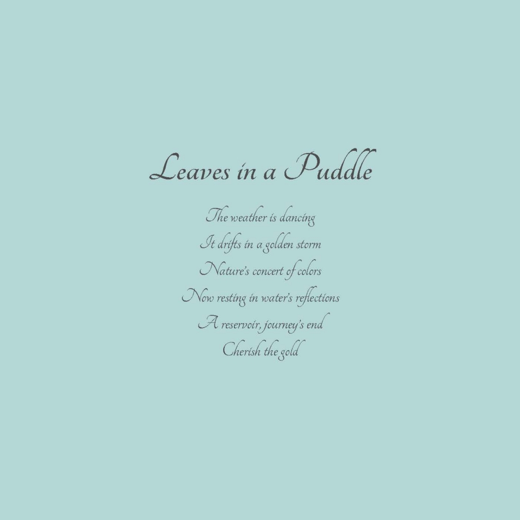 Leaves in a Puddle